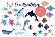 Under the sea big collection, an Animal Illustration by Fantom Fifi Art (Thumbnail 2 of 8)