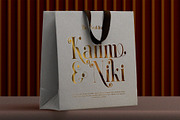 Qid Bronste Elegant Serif, a Serif Font by Perfectype (Thumbnail 6 of 9)