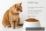 Pet Bowls PNG & PSD Mockups, a Product Mockup by mock-ups (Thumbnail 3 of 12)