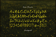 Nicolla Sunfield | Monoline Script, a Script Font by gracetype_studio (Thumbnail 10 of 12)