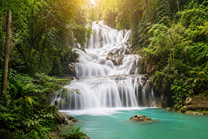 Waterfall cascades in green forest, a Photo by Beautiful things
