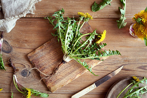 Whole dandelion plant with flowers and root, top view