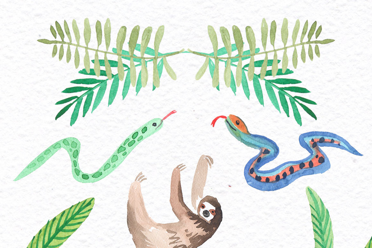 Jungle lifestyle.Watercolor set, an Animal Illustration by Anyuka (Photo 2 of 5)