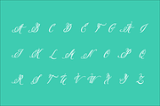 Pen Swan, a Script Font by Great Lakes Lettering (Thumbnail 10 of 11)
