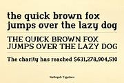 Nafisyah Slab - 9 Layered Font, a Slab Serif Font by Aktab Studio (Thumbnail 4 of 15)