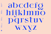 AMOVAND, a Serif Font by Bagerich Type Foundry (Thumbnail 5 of 15)