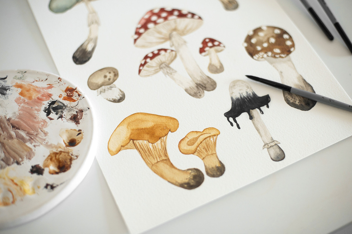 Mushrooms Watercolor Clipart, an Education Illustration by Ooh Lily (Photo 7 of 8)