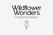 Midnight Fantasy - Unique Sans Serif, a Sans Serif Font by spectertype (Thumbnail 4 of 9)