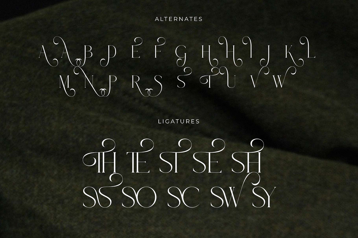 Classo - An Elegance Serif Font, a Serif Font by GridlineType (Photo 8 of 10)