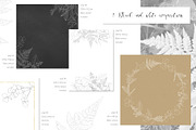 Fresh greenery frames and patterns, a Decorative Illustration by marie dricot (Thumbnail 8 of 16)