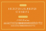 Western Wildler Slab Vintage, a Slab Serif Font by Creatype Studio (Thumbnail 9 of 9)