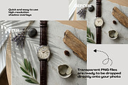 Minimal Window and Botanical Shadow, a Background Graphic by C-Kav (Thumbnail 5 of 8)
