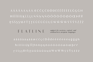 Flatline Sans Complete - 16 Fonts