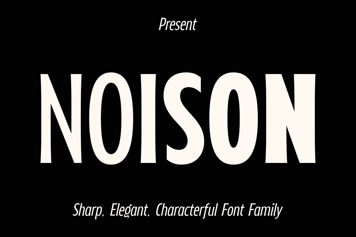 Noison Font Family, a Sans Serif Font by LoneArmy (Photo 1 of 12)
