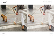 185 Clean Presets Lightroom Bundle, a Preset Add-On by VEER (Thumbnail 11 of 16)
