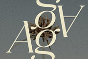 Celine - Delicate Playful Serif, a Serif Font by Bellevue Studio (Thumbnail 7 of 18)