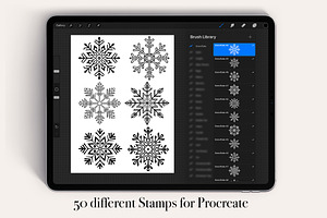 50 Snowflake Procreate Stamps Brush