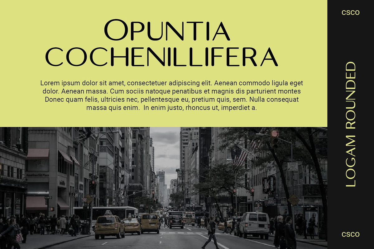 Logam Rounded, a Sans Serif Font by Craft Supply Co. (Photo 8 of 8)
