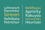 Lakshmi, a Sans Serif Font by OceaneM (Thumbnail 5 of 9)