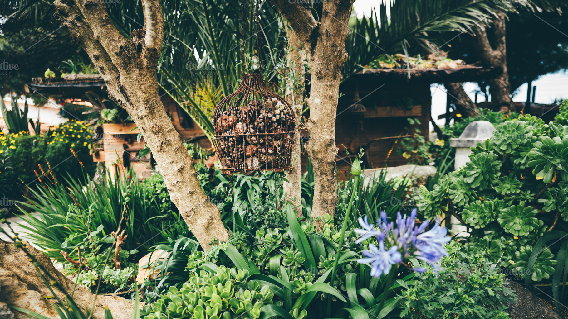 Hanging birdcage in green garden, an Architecture Photo by SkyNext