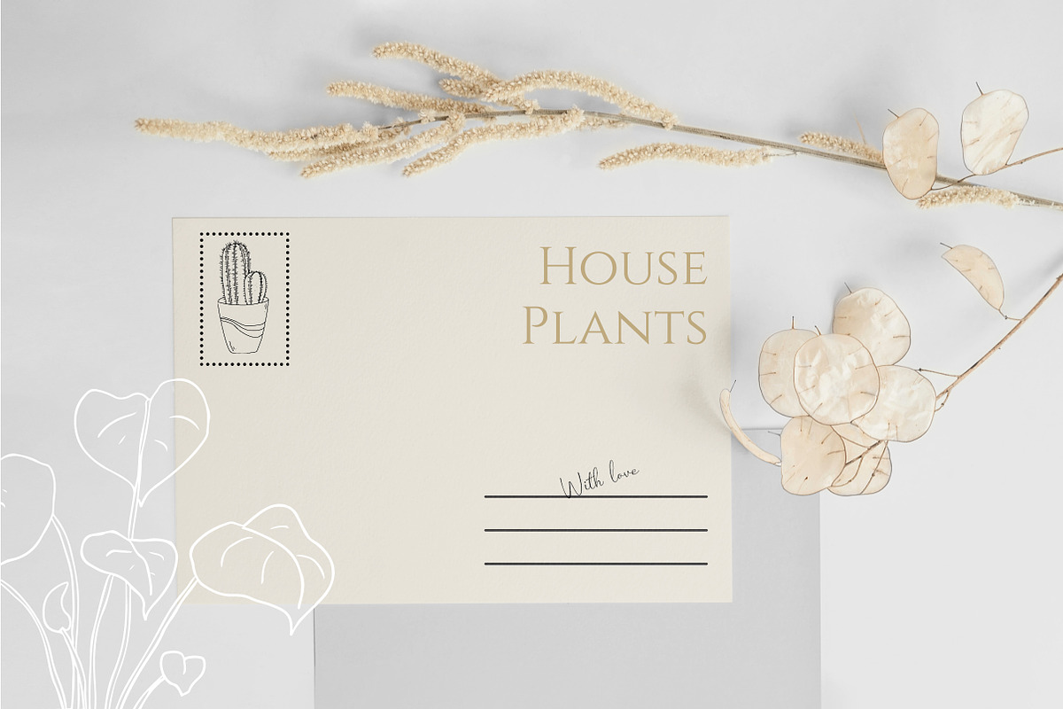 House Plants. Vector illustrations, a Decorative Illustration by iri-illustration (Photo 2 of 9)