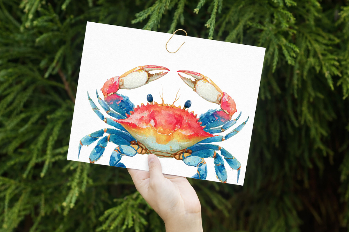 Watercolor Crab Clipart, an Illustration by Libby Wishes (Photo 4 of 7)