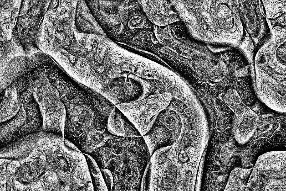 Cytoplasm, a Texture Graphic by Jennifer Lauren Creative (Photo 8 of 9)