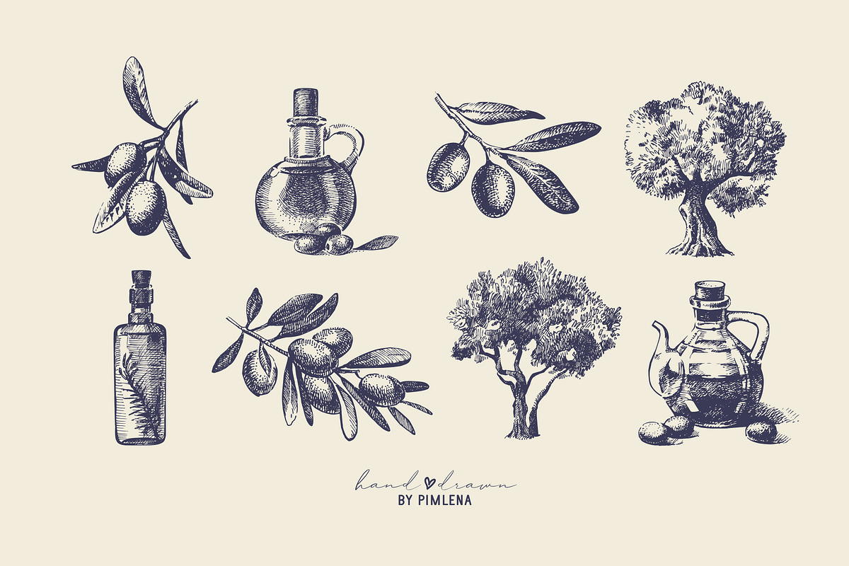 Vintage Olive Hand Drawn Collection, a Food Illustration by Elena Pimonova (Photo 2 of 5)