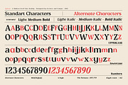 Epicus - Serif font family, a Font by Artistic & Unique (Thumbnail 5 of 14)