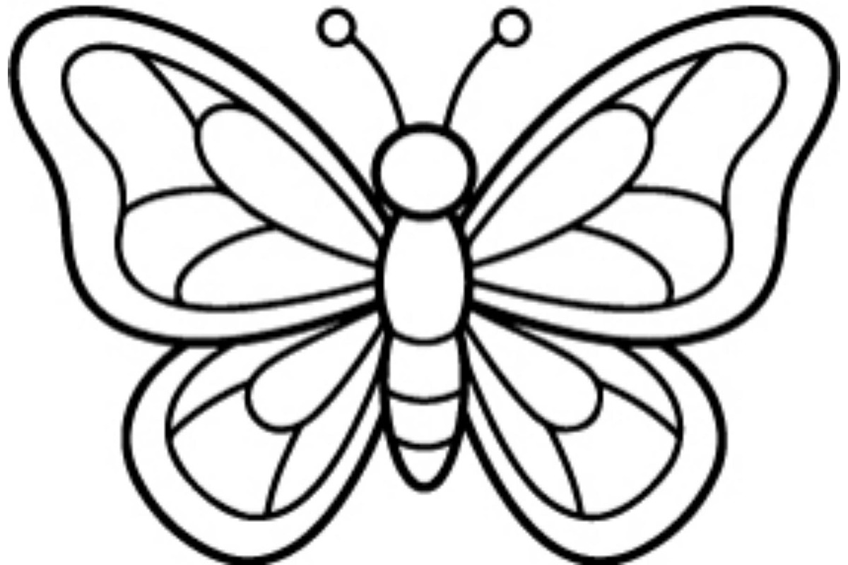 Butterfly SVG Bundle, an Object Graphic by Gfx_Store (Photo 1 of 16)
