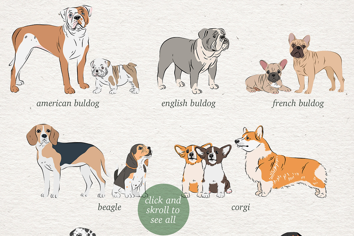 Dog Lover - big collection, an Animal Illustration by Alina Sh (Photo 2 of 10)