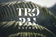 Brangkos A Wave Serif Typeface, a Serif Font by AuthenType (Thumbnail 10 of 13)