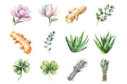 Botanical Wellness Watercolor, an Illustration by Design Market (Thumbnail 2 of 3)