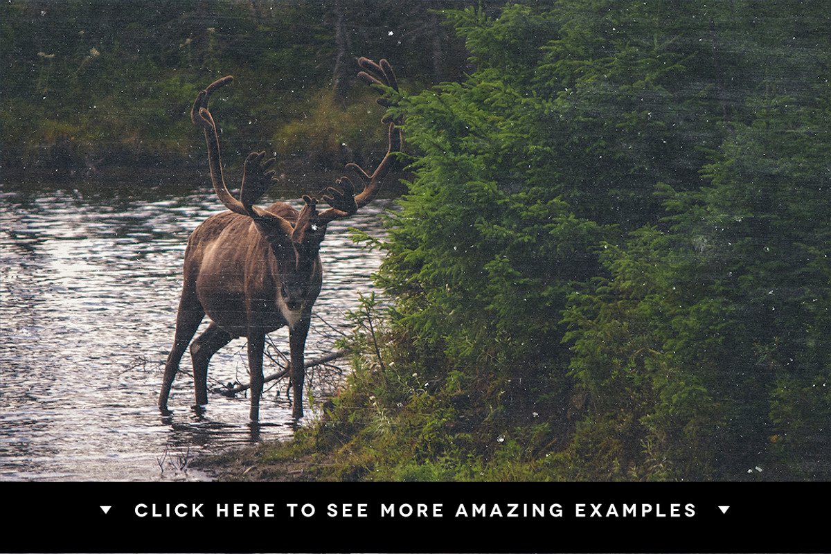 Vintage Overlays Pack (25% OFF!), a Texture Graphic by Gromov Design (Photo 5 of 5)