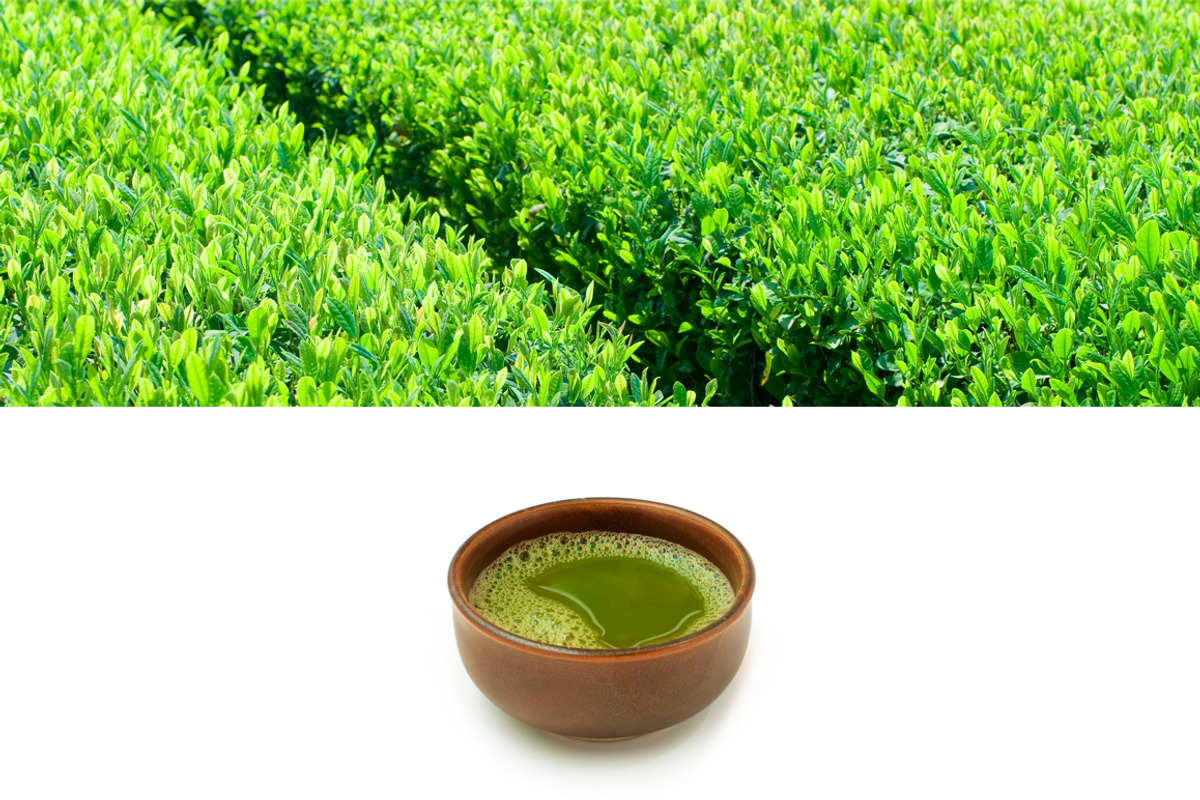 Matcha green tea. Photography set., an Object Graphic by Pullia (Photo 4 of 6)