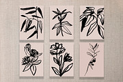Minimalistic botanica, an Object Graphic by Mii Lab (Thumbnail 7 of 14)