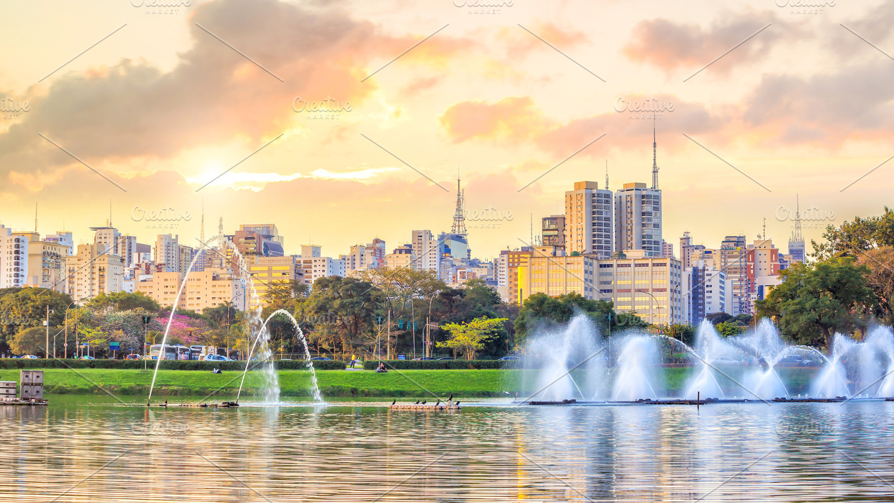 Sao Paulo skyline from Parque Ibirapuera park, a Background Photo by f11photo