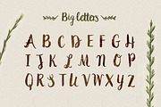 Peomy Extended Font & Illustrations, a Script Font by Wild Ones (Thumbnail 5 of 13)