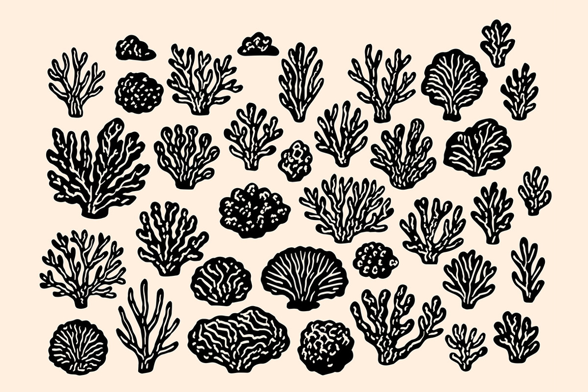 Linocut Coral Clipart Bundle, an Illustration by ClayStudio (Photo 2 of 8)