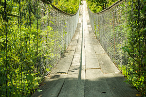 Forest Footbridge Guatemala, a Nature Photo by THP Creative