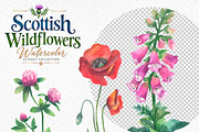 Scottish Wildflowers, an Object Illustration by FITALARTSNEDIGI (Thumbnail 4 of 7)