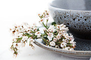 Lifestyle Stock Photo Bundle, a Photo by Savvy Stock Shop (Thumbnail 7 of 8)