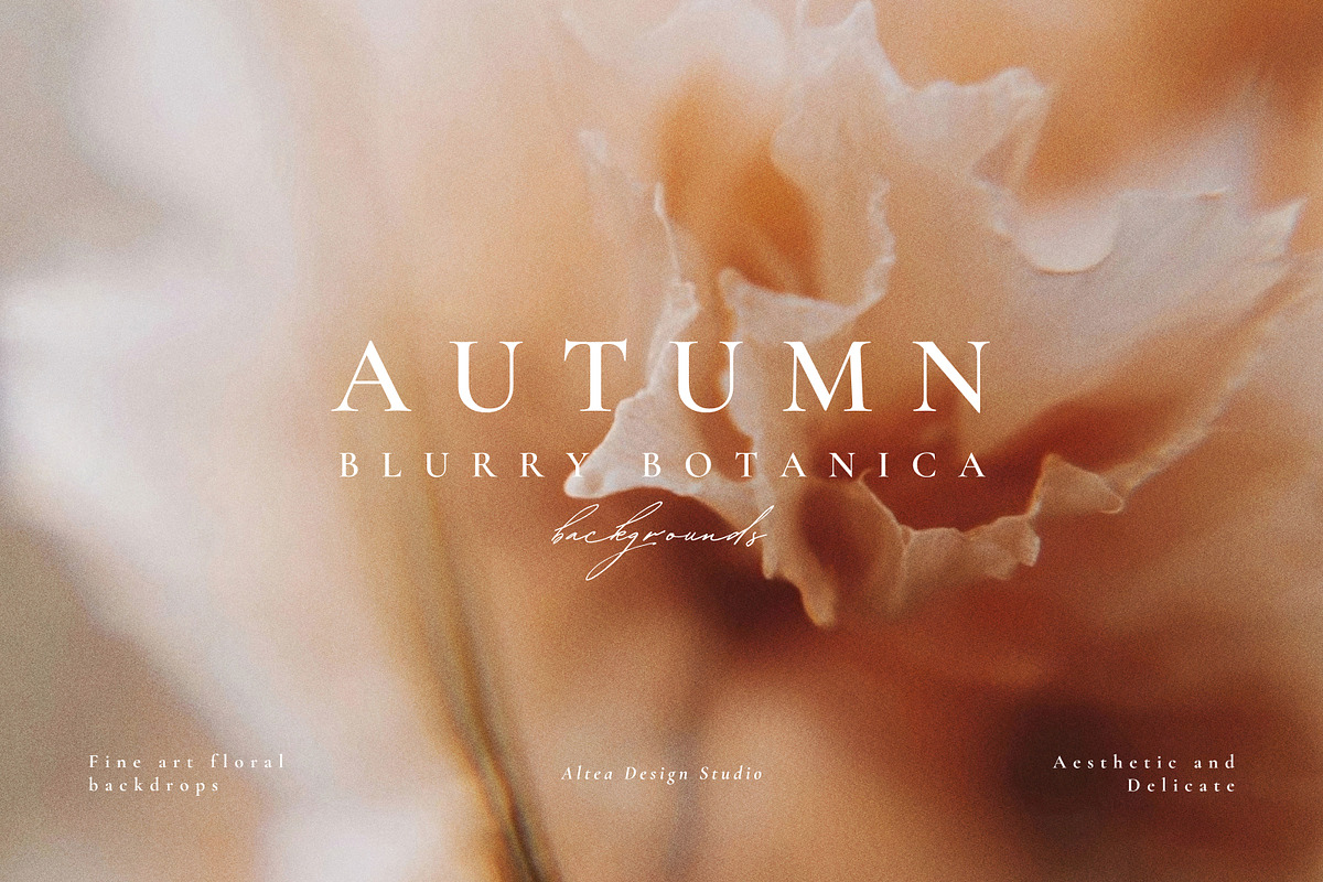 Autumn Blurry Floral Backgrounds, a Background Graphic by Altea Design Studio (Photo 15 of 15)