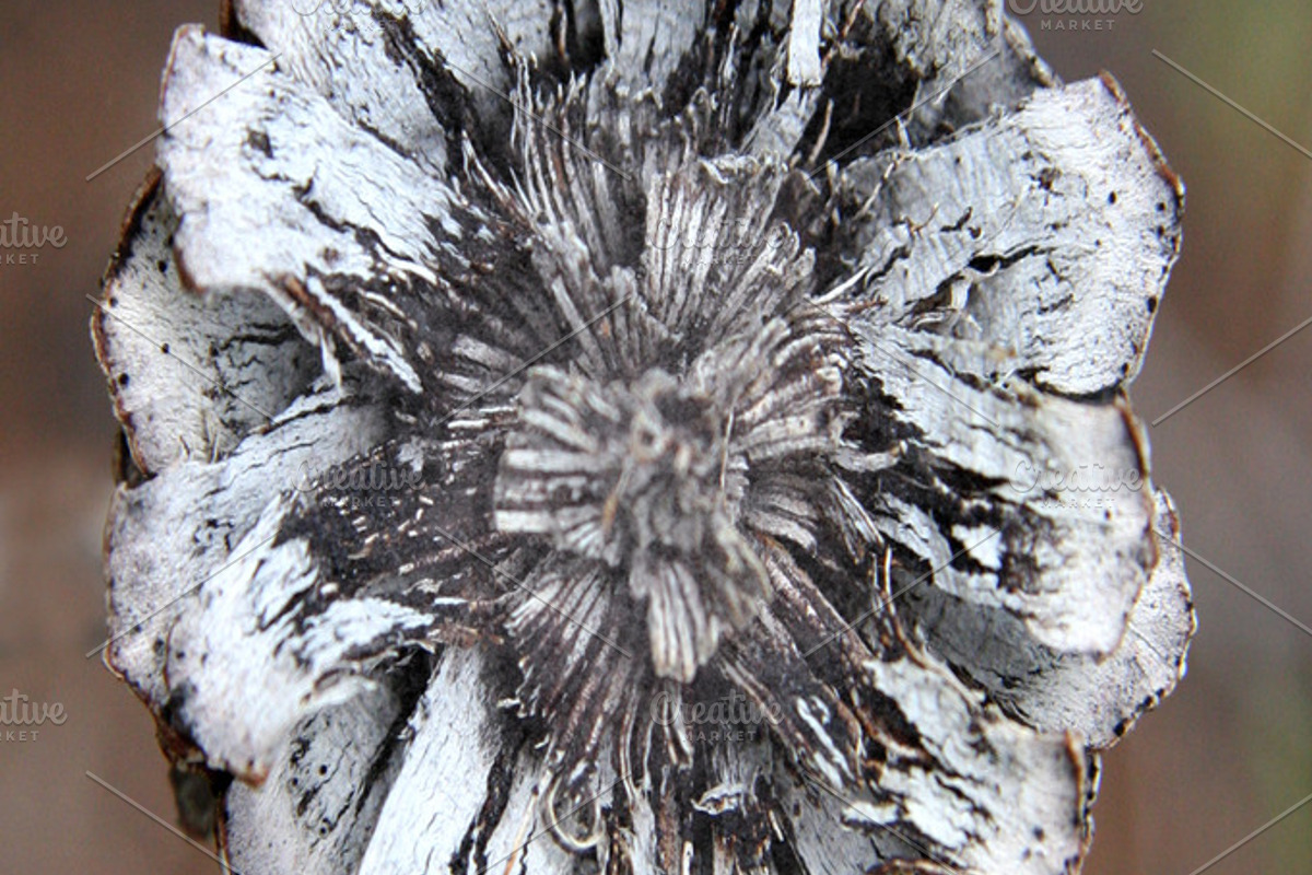 Alphabet Photography Letter O, an Abstract Photo by Artistic Letters (Photo 3 of 7)