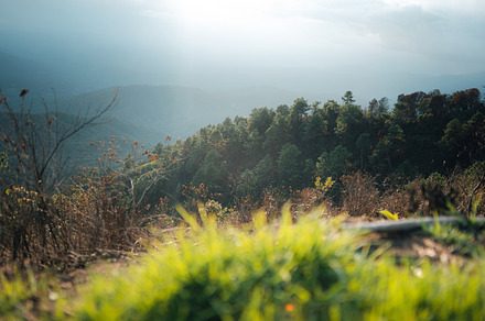 Green fields on the mountains in summer, a Nature Photo by Art Rachen