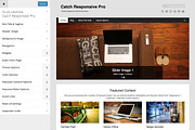 Catch Responsive Pro, a WordPress Template by Catch Themes (Thumbnail 2 of 3)