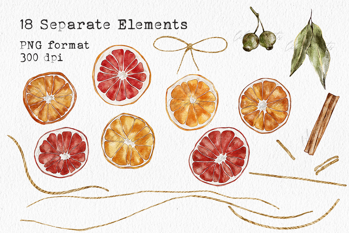 Watercolor Citrus Ornaments Clipart, an Illustration by lilisprints (Photo 2 of 7)