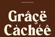 CS Bolt – Bold Serif Font, a Serif Font by Craft Supply Co. (Thumbnail 5 of 8)