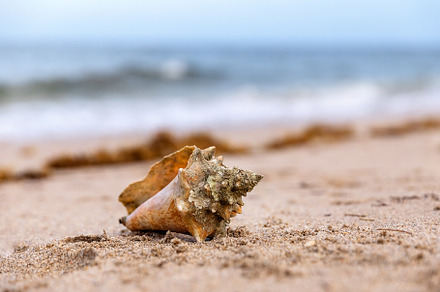 Scenic view of sandy beach with colo