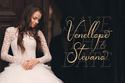 Teofandin Levantamy | Wedding Script, a Script Font by Denustudios (Thumbnail 2 of 14)
